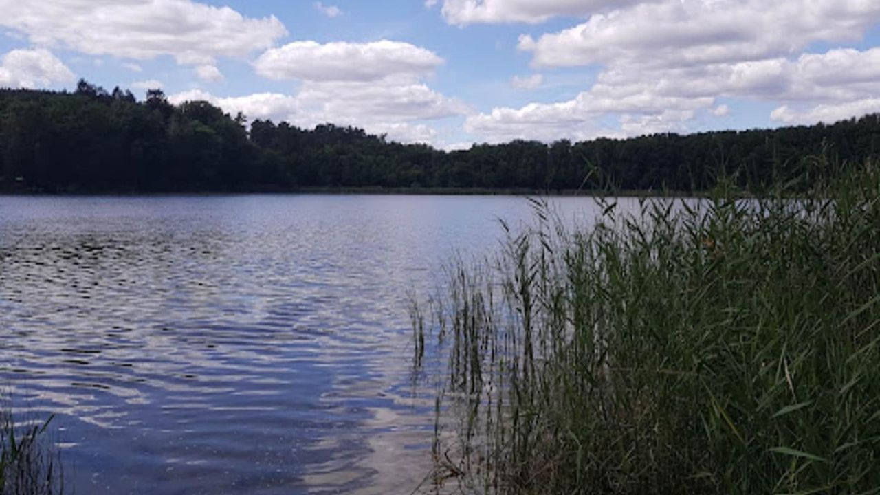 AreaSummer20KM AreaSummer20KM